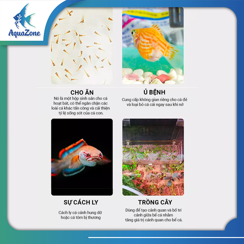 Ngăn cách ly cá Voonline chuyên cách ly cá con, nhựa Acrylic trong suốt, bền bỉ