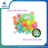 Sỏi thủy tinh DQ nhiều màu, hình dáng độc đáo