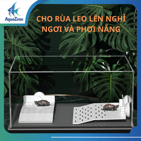 Máng leo cho rùa, máng leo hỗ trợ rùa phơi nắng cho rùa bán cạn