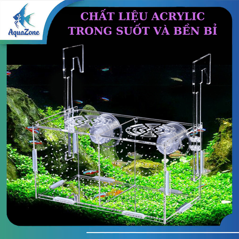 Lồng cách ly cá chuyên cách ly cá con có lỗ cho ăn, nhựa trong suốt, bền bỉ