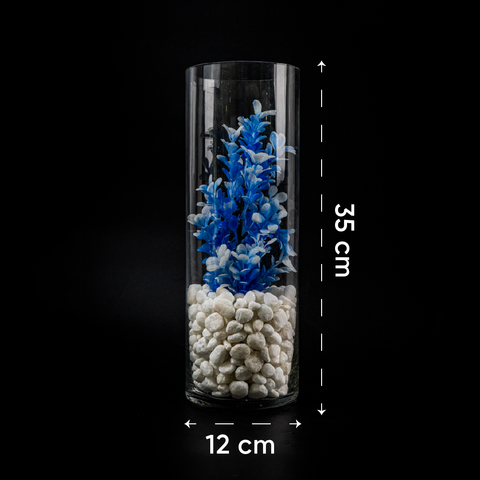 Bể, bình thủy tinh hình trụ tròn nuôi trồng thủy sinh, thủy canh, decor không gian