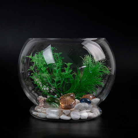 Bể thủy tinh tròn chân có đế chuyên dùng trồng cây thủy sinh, thủy canh, bình nuôi cá để bàn size nhỏ