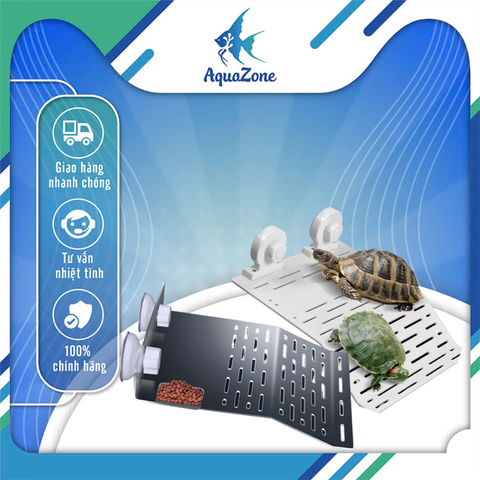 Máng leo cho rùa, máng leo hỗ trợ rùa phơi nắng cho rùa bán cạn