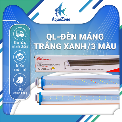 Đèn máng QuanLong  (QL) siêu sáng làm nổi bật màu cây | Đèn máng trắng xanh hoặc chuyển đổi 3 màu WRGB dành cho bể thủy sinh