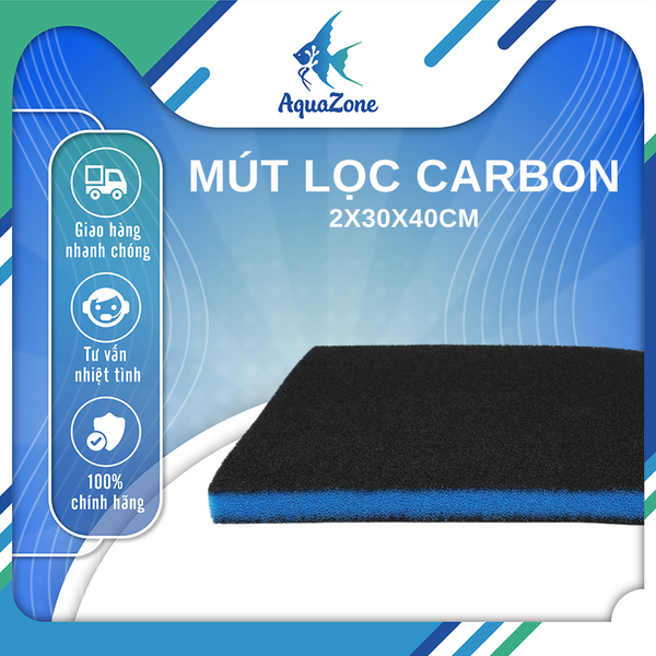 Mút carbon lọc nước hồ cá 2x30x40cm