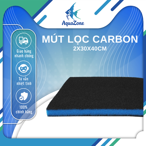 Mút carbon lọc nước hồ cá 2x30x40cm