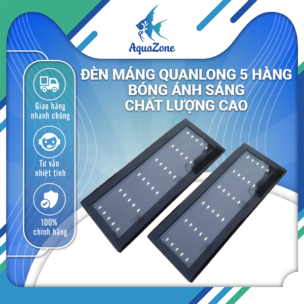 Đèn máng QUANLONG 5 hàng bóng ánh sáng chất lượng cao, tăng màu sắc cho cá QL