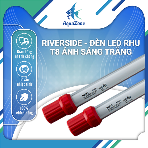 Đèn led hồ cá Riverside RHU T8 ánh sáng trắng, đèn tanning chuyên dành cho cá rồng