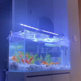 Đèn led kẹp đôi WRGB Riverzone dành cho bể cá thủy sinh thế hệ mới