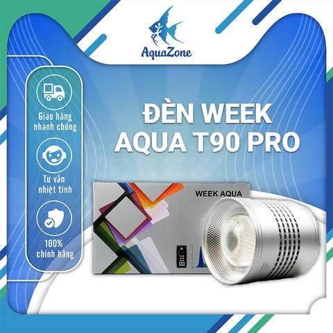 ĐÈN WEEKAQUA PHIÊN BẢN NÂNG CẤP T90PRO