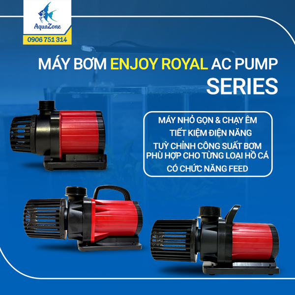 Bơm Enjoy Royal XT ACP 3000 - 100000 tiết kiệm điện năng