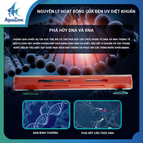 Đèn RUV Riverzone 5W-13W, đèn UV có hẹn giờ tích hợp vỏ bọc