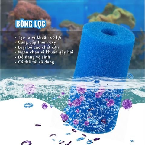 Lọc Phụ MARINE 200B - 240B ( Phi 12, 16, 20 )