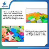 Sỏi thủy tinh DQ nhiều màu, hình dáng độc đáo