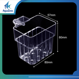 Khay trồng cây thủy sinh, khay trồng bằng nhựa acrylic cho bể cá