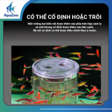 Ngăn cách ly cá Voonline chuyên cách ly cá con, nhựa Acrylic trong suốt, bền bỉ