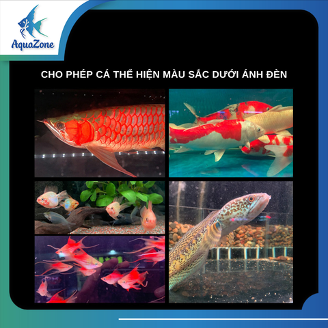 Đèn led tròn bể cá Deyao 5D, đèn led RGB tích hợp UV