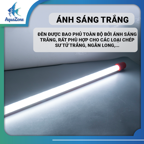Đèn led hồ cá Riverside RHU T8 ánh sáng trắng, đèn tanning chuyên dành cho cá rồng