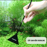 Cây san nền bể cá Voonline 32cm