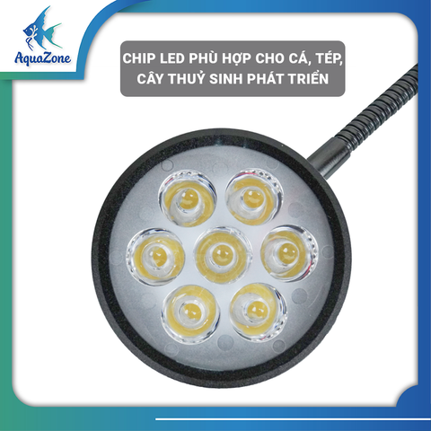 Đèn rọi đế gỗ Riverzone ánh sáng trắng dùng cho bể thuỷ sinh, tiểu cảnh