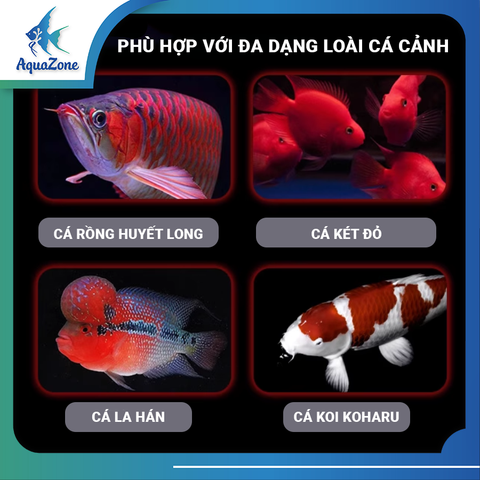 Đèn led No1 làm bật tone màu cá - đèn tròn 5 hàng bóng N950A