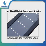 Đèn máng QUANLONG 5 hàng bóng ánh sáng chất lượng cao, tăng màu sắc cho cá QL
