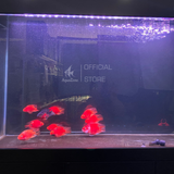 Đèn Led Riverside M3 đa sắc dành cho hồ cá, phối màu RGB bằng phím lăn tiện lợi như dùng App