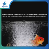 Máy sủi oxy Kintons IQ Series cho bể cá, máy sủi oxy siêu êm