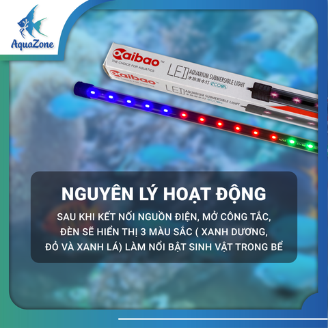 Đèn led bể cá DAIBAO T4  3 màu | Đèn led làm tăng màu sắc, hỗ trợ lên màu cho cá
