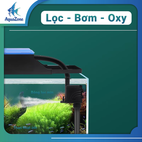 Lọc bể cá tích hợp 3 trong 1 XinXiu tiết kiệm điện năng với ngăn lọc khô ướt tách biệt