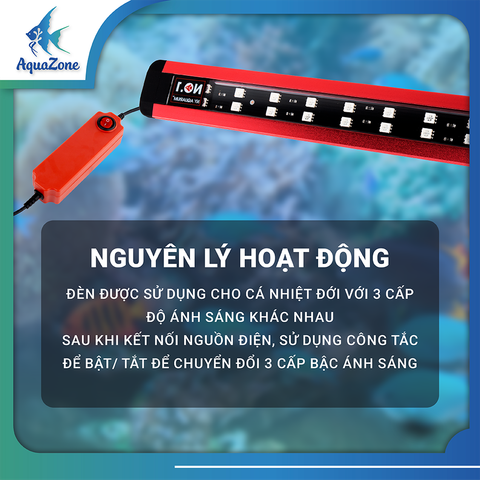 ảnh đại diện đèn dẹp no.1 n804 1