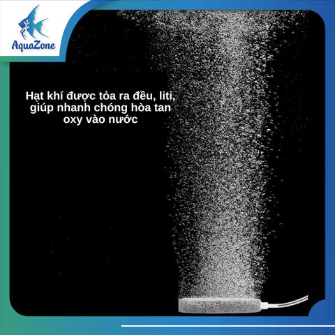 Đĩa sủi ASC siêu mịn 40/60/80/100/120/150/200/300 cho bể thủy sinh