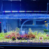 Đèn led thanh thay đổi chế độ màu WRGB Riverzone SD dành cho bể cá, thủy sinh