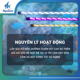 ĐÈN LED TRÒN XML 4 HÀNG BÓNG (N) TĂNG MÀU ĐỎ/ VÀNG/ TRẮNG CHO CÁ RỒNG | ĐÈN LED ĐẶT CHÌM DÀNH CHO BỂ CÁ
