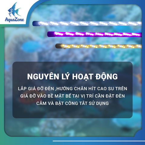 ĐÈN LED TRÒN XML 4 HÀNG BÓNG (N) TĂNG MÀU ĐỎ/ VÀNG/ TRẮNG CHO CÁ RỒNG | ĐÈN LED ĐẶT CHÌM DÀNH CHO BỂ CÁ