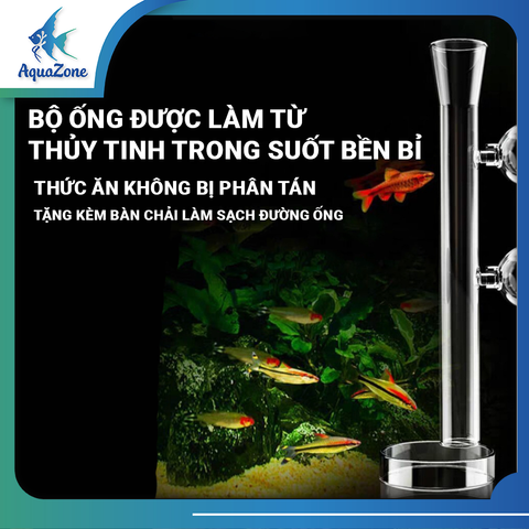 Bộ máng trượt cho cá ăn Voonline dài 25cm 35cm 45cm bằng thủy tinh trong suốt chắc chắn bền bỉ