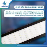 Đèn thủy sinh, đèn bể cá WRGB 6 hàng bóng RQH siêu sáng B45~B120