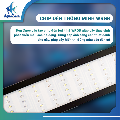 Đèn thủy sinh, đèn bể cá WRGB 6 hàng bóng RQH siêu sáng B45~B120