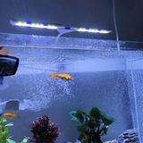Đèn led kẹp đôi WRGB Riverzone dành cho bể cá thủy sinh thế hệ mới