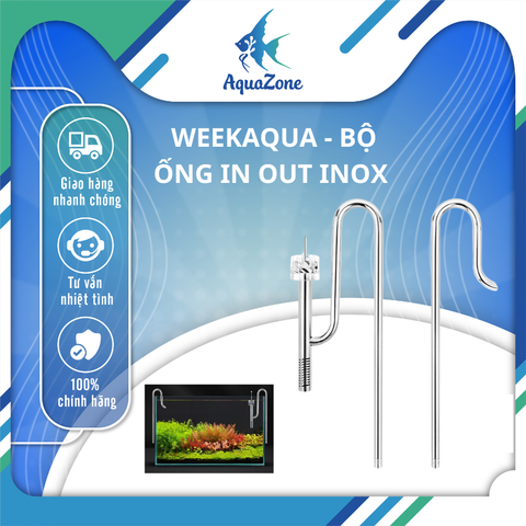 Bộ ống in out Week Aqua inox cao cấp tích hợp lọc váng