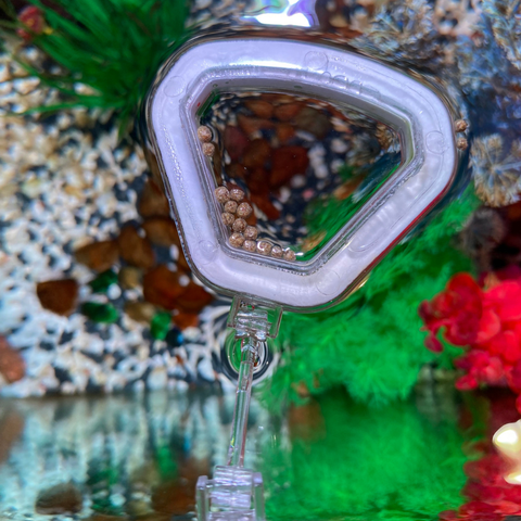 Vòng cho cá ăn - vòng giữ thức ăn không bị phân tán Marine size S, M, L