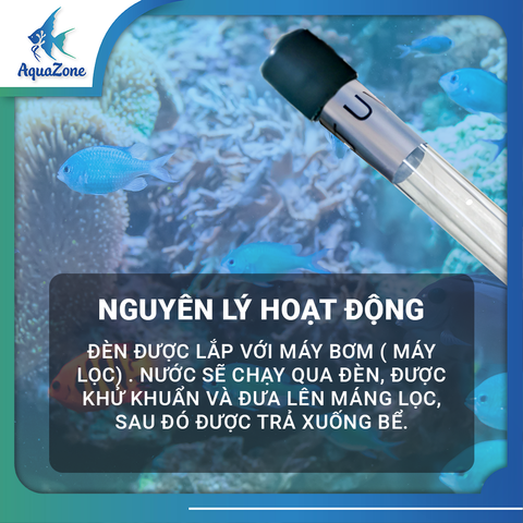 Đèn UV Riverside 3w 5w 7w 11w 13w chuyên diệt tảo, diệt khuẩn dành cho bể cá, bể thủy sinh