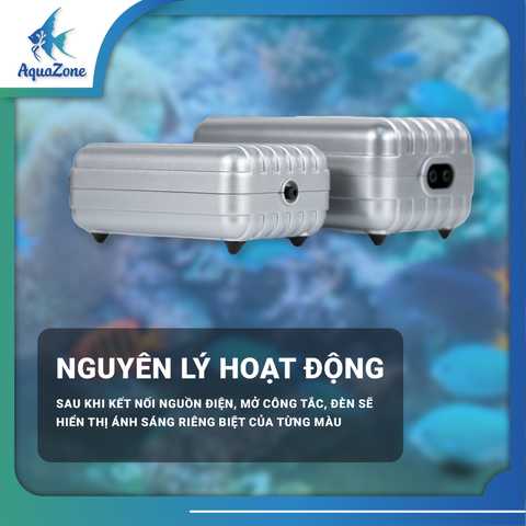 MÁY SỦI OXY BỂ CÁ XIX AP667 1 VÒI, AP668 2 VÒI - Máy sủi êm ái, không gây ồn cho bể cá