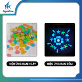 Sỏi thủy tinh DQ nhiều màu, hình dáng độc đáo
