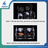 Lồng cách ly cá chuyên cách ly cá con có lỗ cho ăn, nhựa trong suốt, bền bỉ