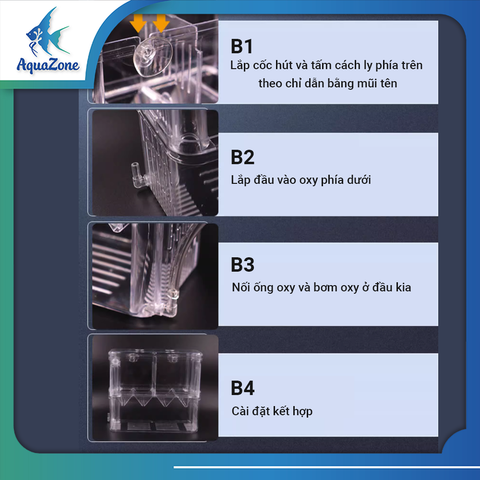 Lồng cách ly cá chuyên cách ly cá con, nhựa Acrylic trong suốt, bền bỉ