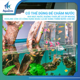 Bể cá úp ngược, hồ cá úp ngược trang trí, bể cá áp suất âm box acrylic Voonline