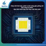 Đèn lon LC dành cho cá LED hiện đại ánh sáng không chớp nháy, bảo vệ mắt