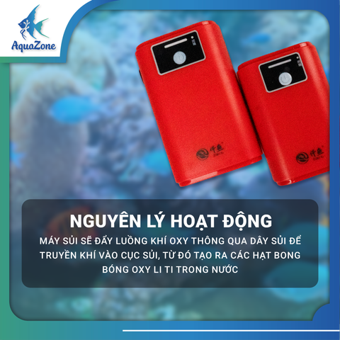 MÁY SỦI OXY TÍCH ĐIỆN QIANYU QY1000 QY2000 | Máy sủi oxy chất lượng cao, yên tĩnh dành cho bể cá