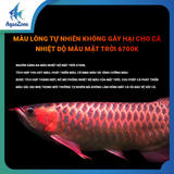 Đèn led Kintons Sunlight RGBs 52cm-143cm